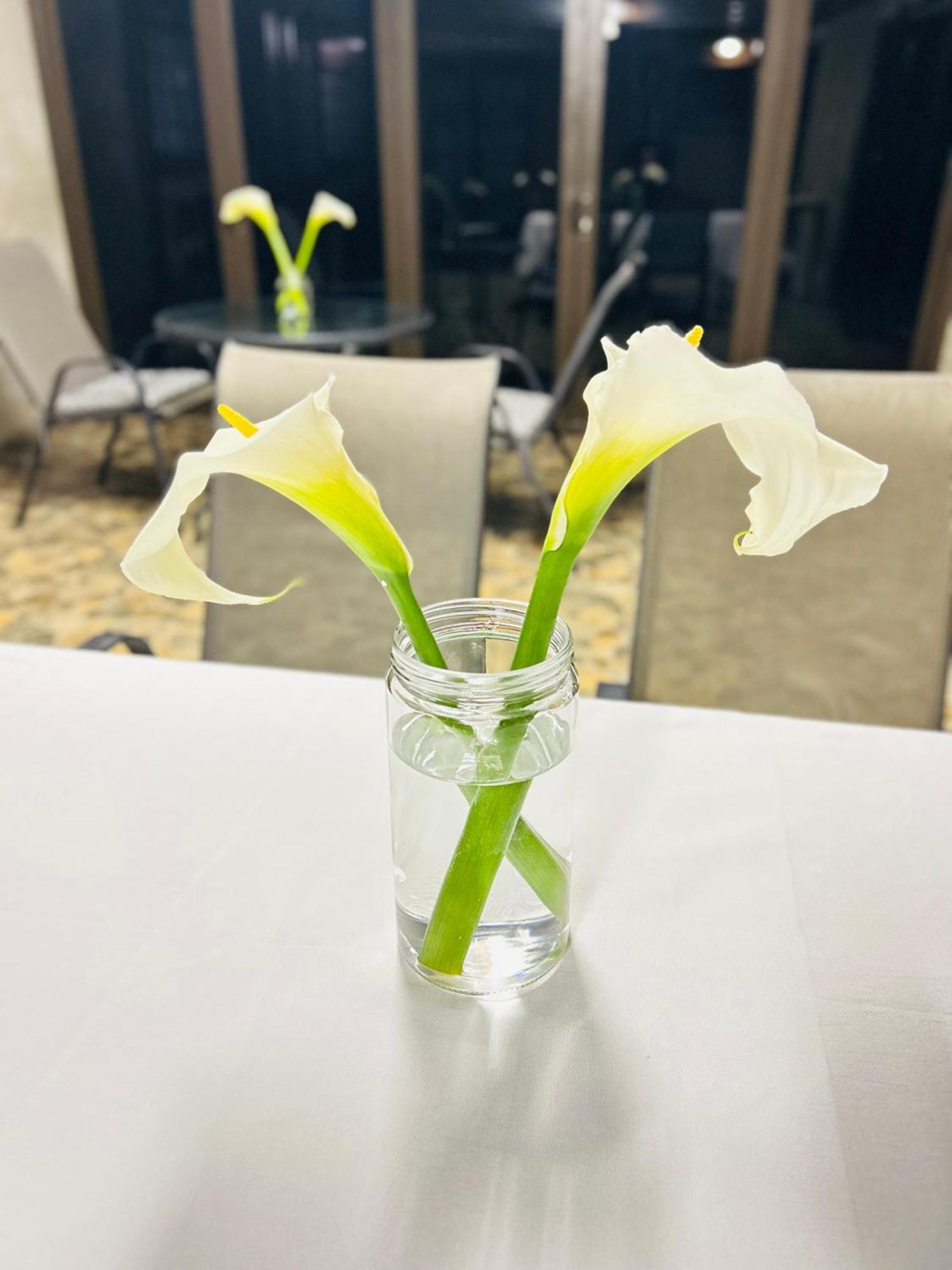 גרסקופ Duvha Guesthouse מראה חיצוני תמונה