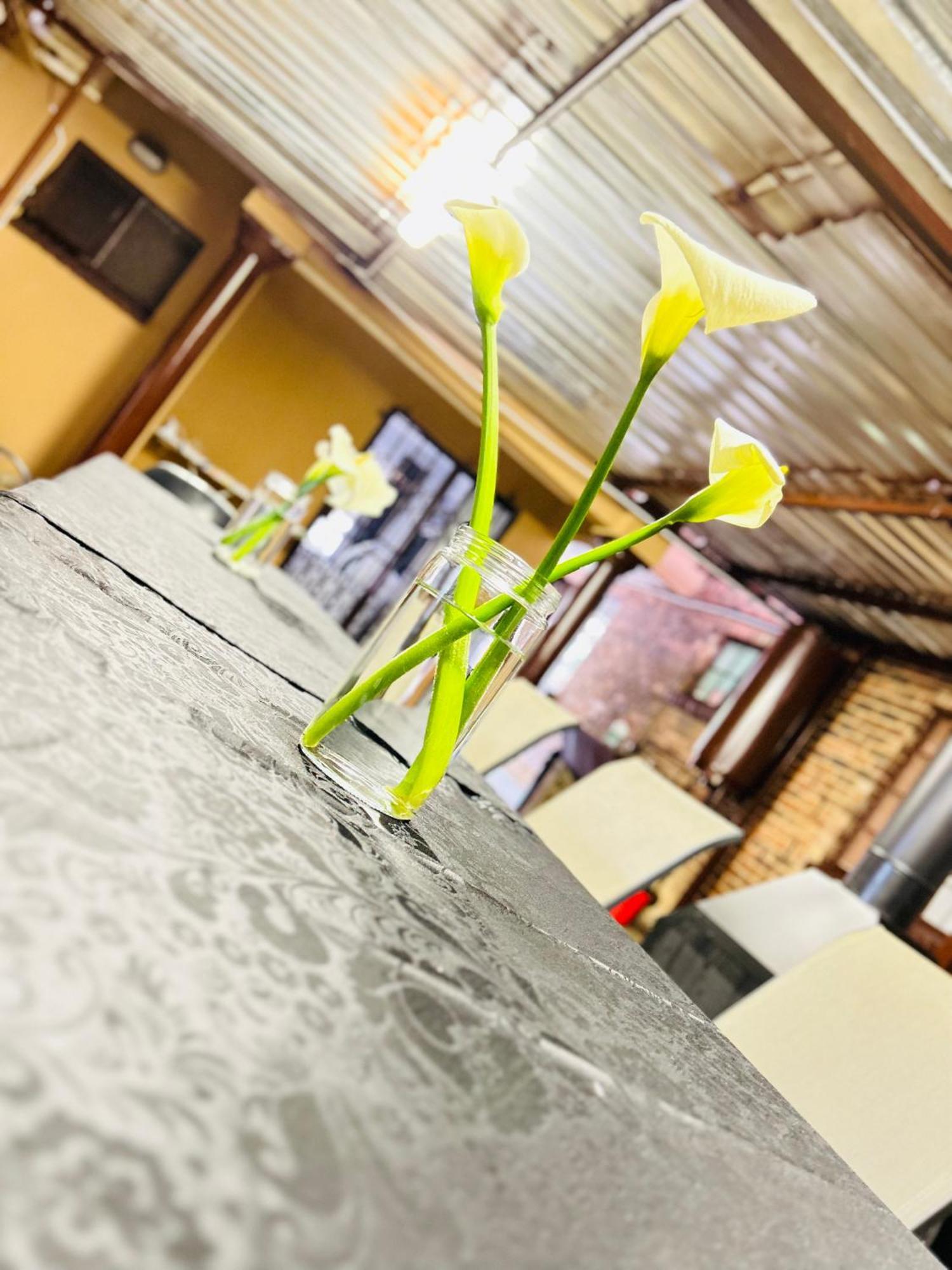 גרסקופ Duvha Guesthouse מראה חיצוני תמונה